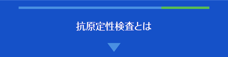 抗原定性検査とは