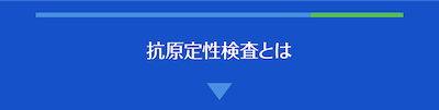 抗原定性検査とは