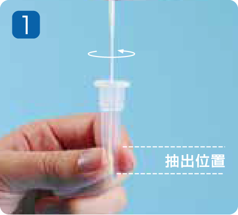 検体抽出